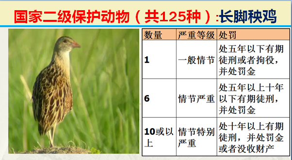 国家最新125类二级野生保护名录，图片及违法对应刑责