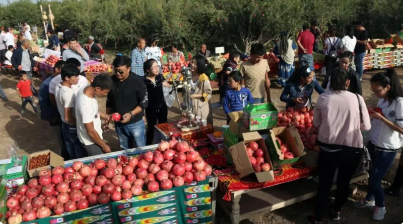 喀什伯什克然木乡葡萄、石榴采摘节将于9月28日盛大开幕