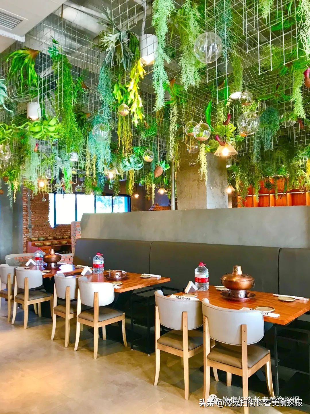 Take iron porcelain surely in Changchun rub eating house