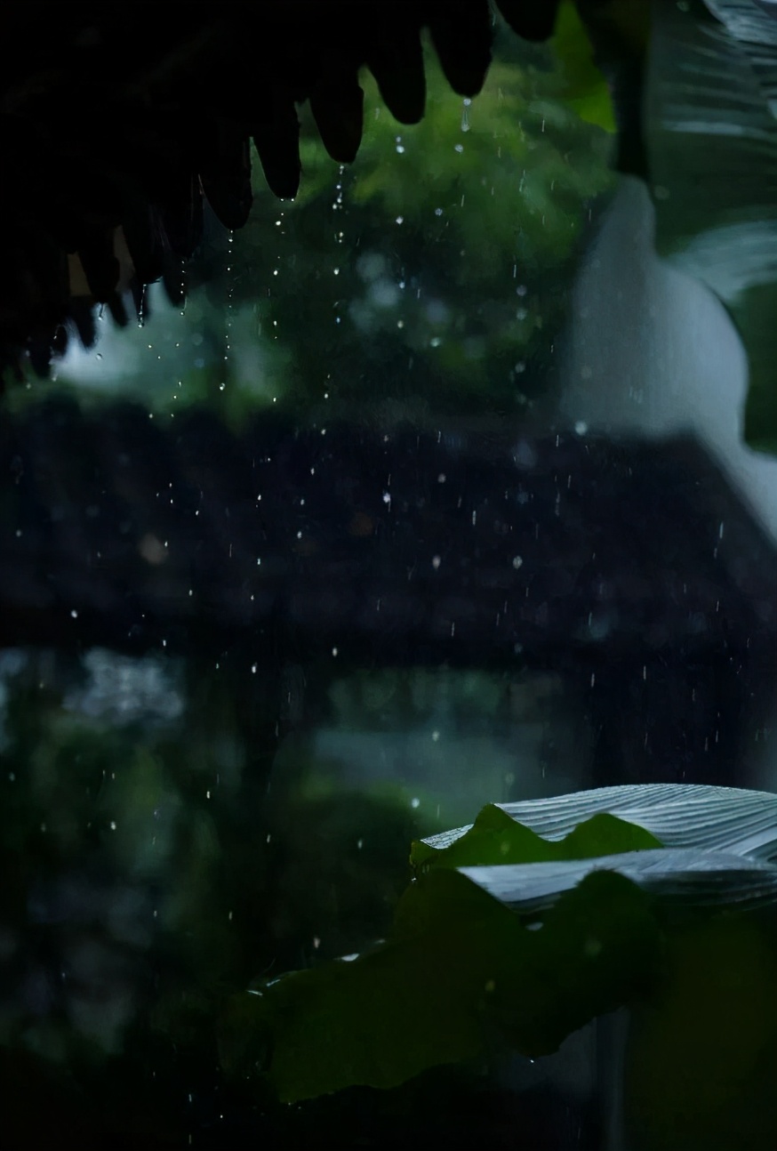 丁宁初夏雨 好长故山薇，古诗词里初夏的雨，那么美好-第5张图片-非凡网