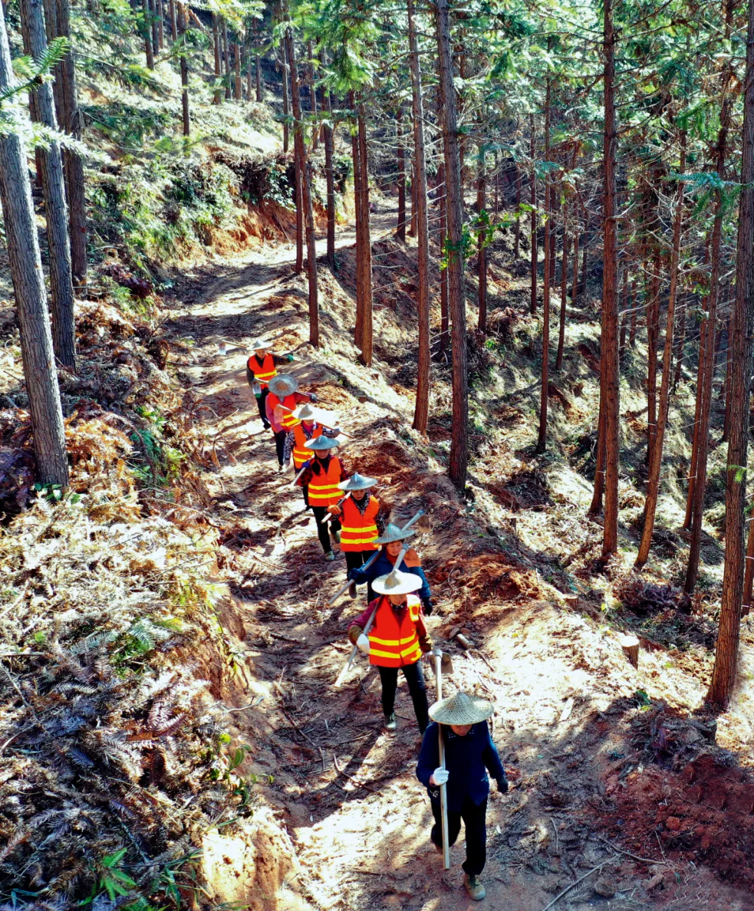 煤电碳达峰：1000多座燃煤电厂要关停吗？