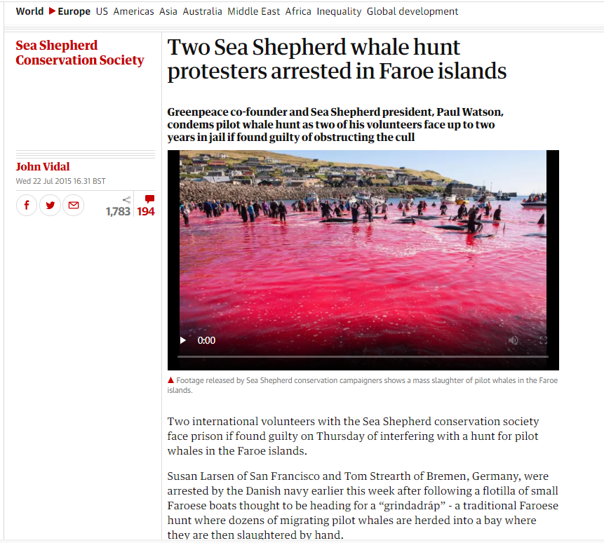 法罗群岛的“屠杀”，领航鲸被诱惑到岸边，海边的男人一刀终结