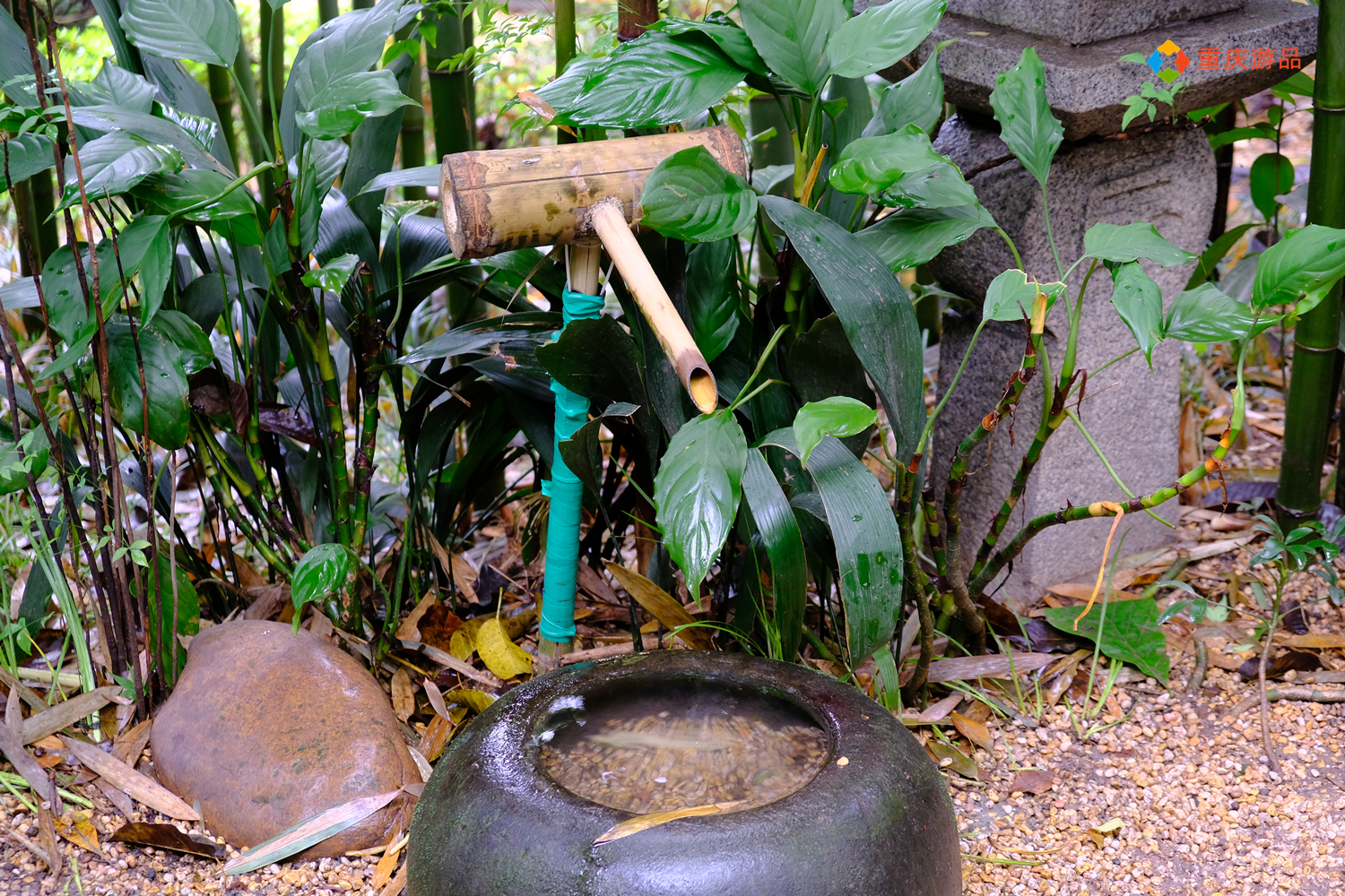 魅力渝中：建于清朝的私家园林，变成重庆人的城市公园，免费开放