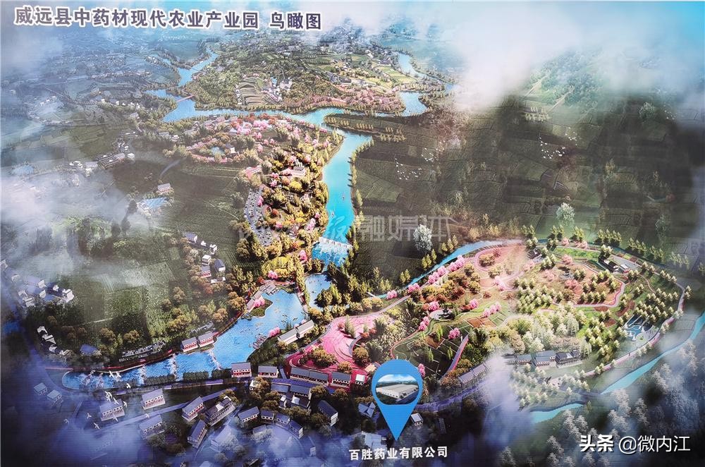 巩固“全国基层中医药工作先进单位”建设成果：内江种植中药材面积达30余万亩