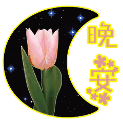 睡前发个朋友圈晚安语 吸引人的晚安朋友圈图片
