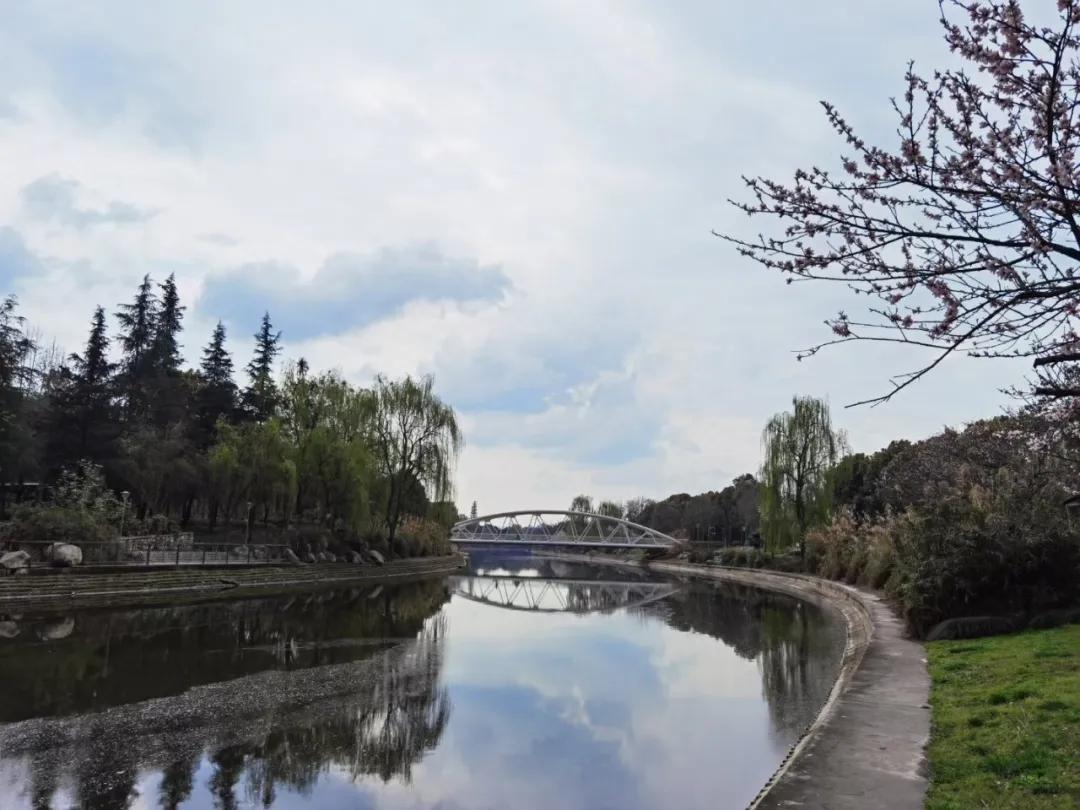 成都市双流区九江小学丨巾帼心向党 奋斗新征程