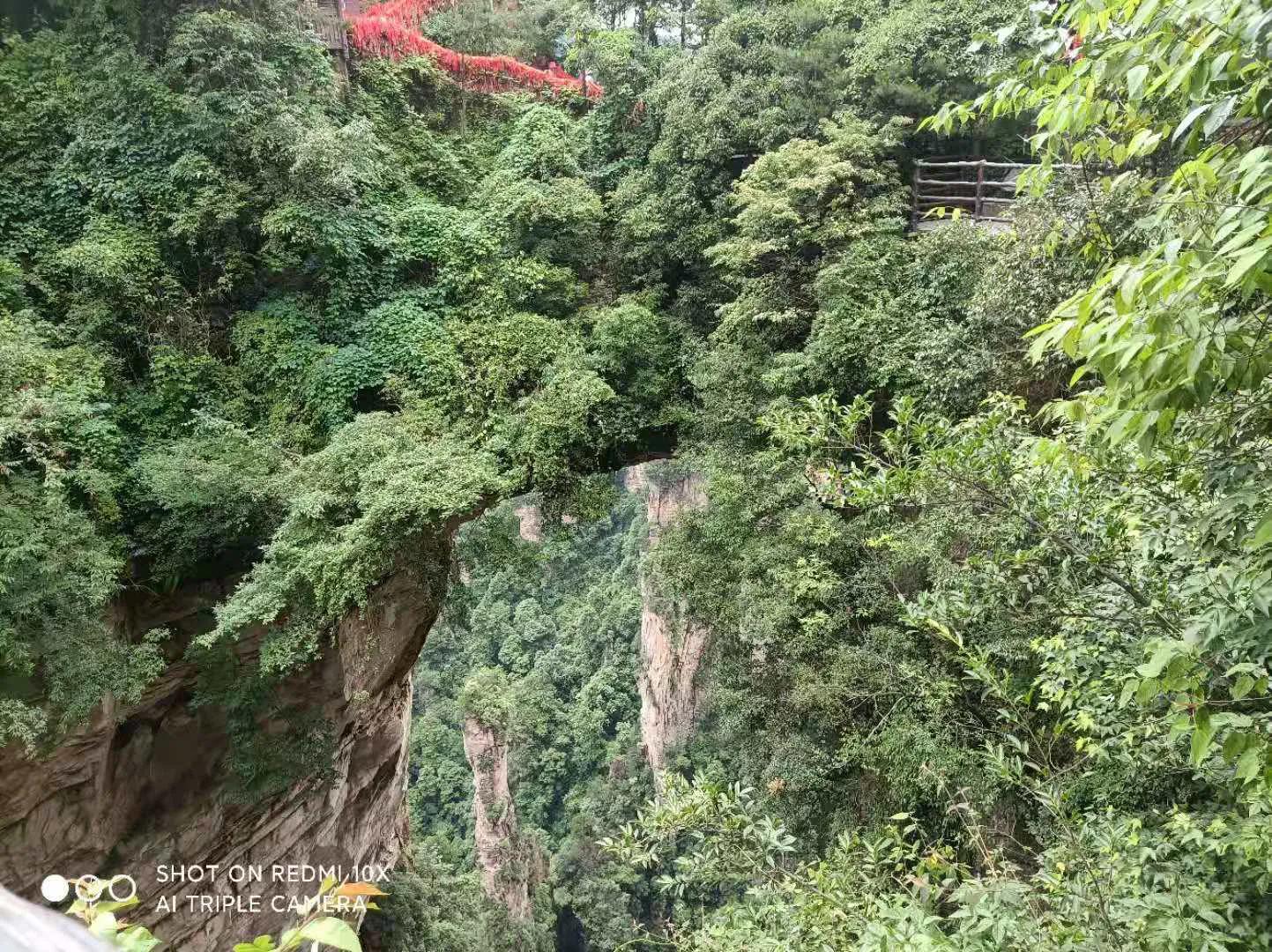 張家界武陵源景區一日遊 愛旅行的amber Mdeditor