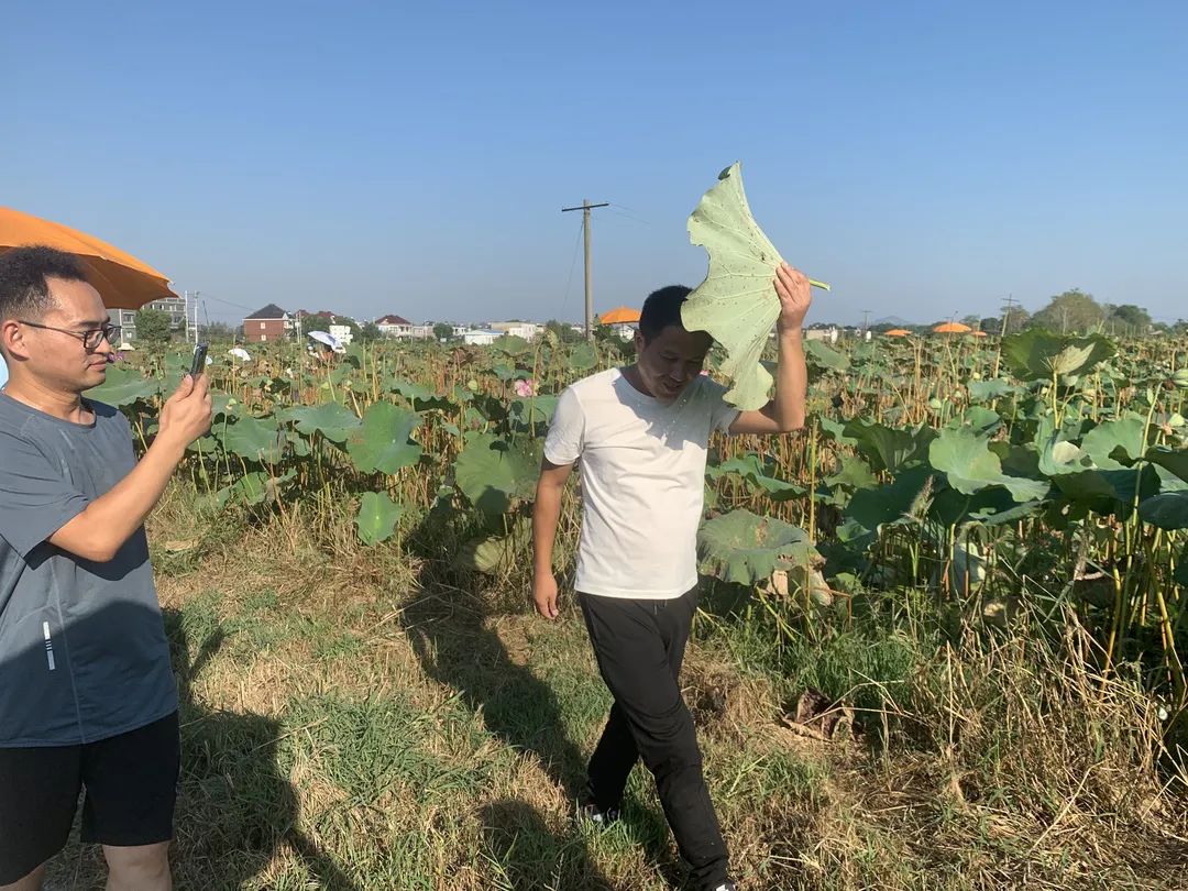 千年弋江，藕遇四连农产品助农直播和产销对接会活动获得圆满成功