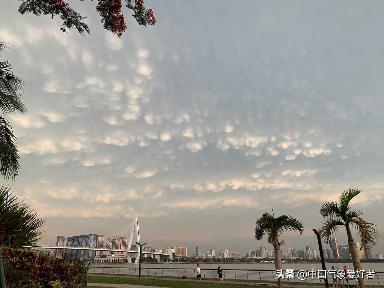 奇特！奇特乳状云现身海南海口，分析：这是坏天气开始的征兆