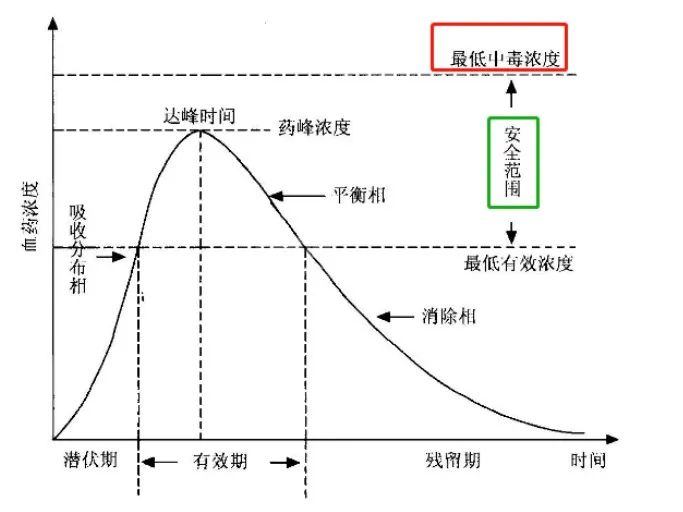 治疗药物浓度监测-TDM