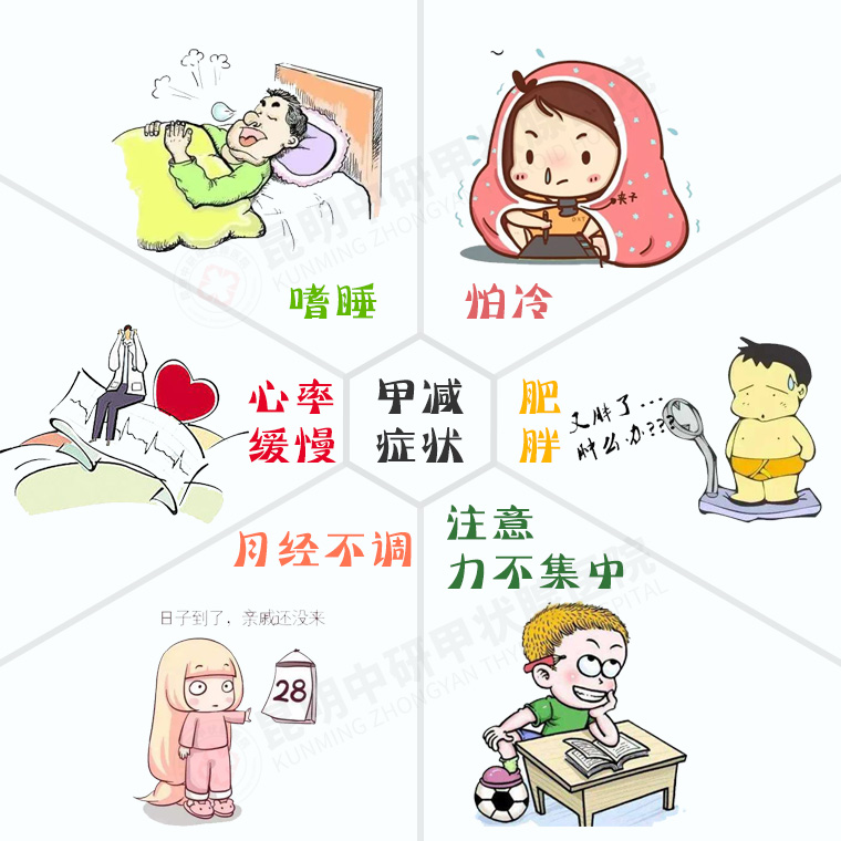 5个人中就有1人有甲状腺问题，快来看看你是不是也有这些症状