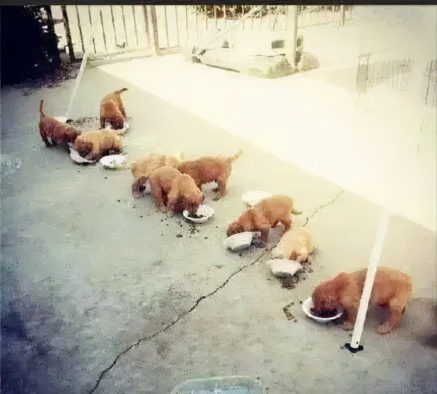 普通程序員和大神程序員，到底有啥區別？「渡一教育」