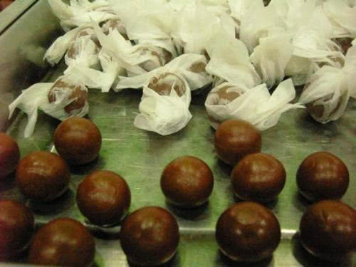 末代皇帝溥仪临终前，为何一直喊河车丸？河车丸是干啥的？