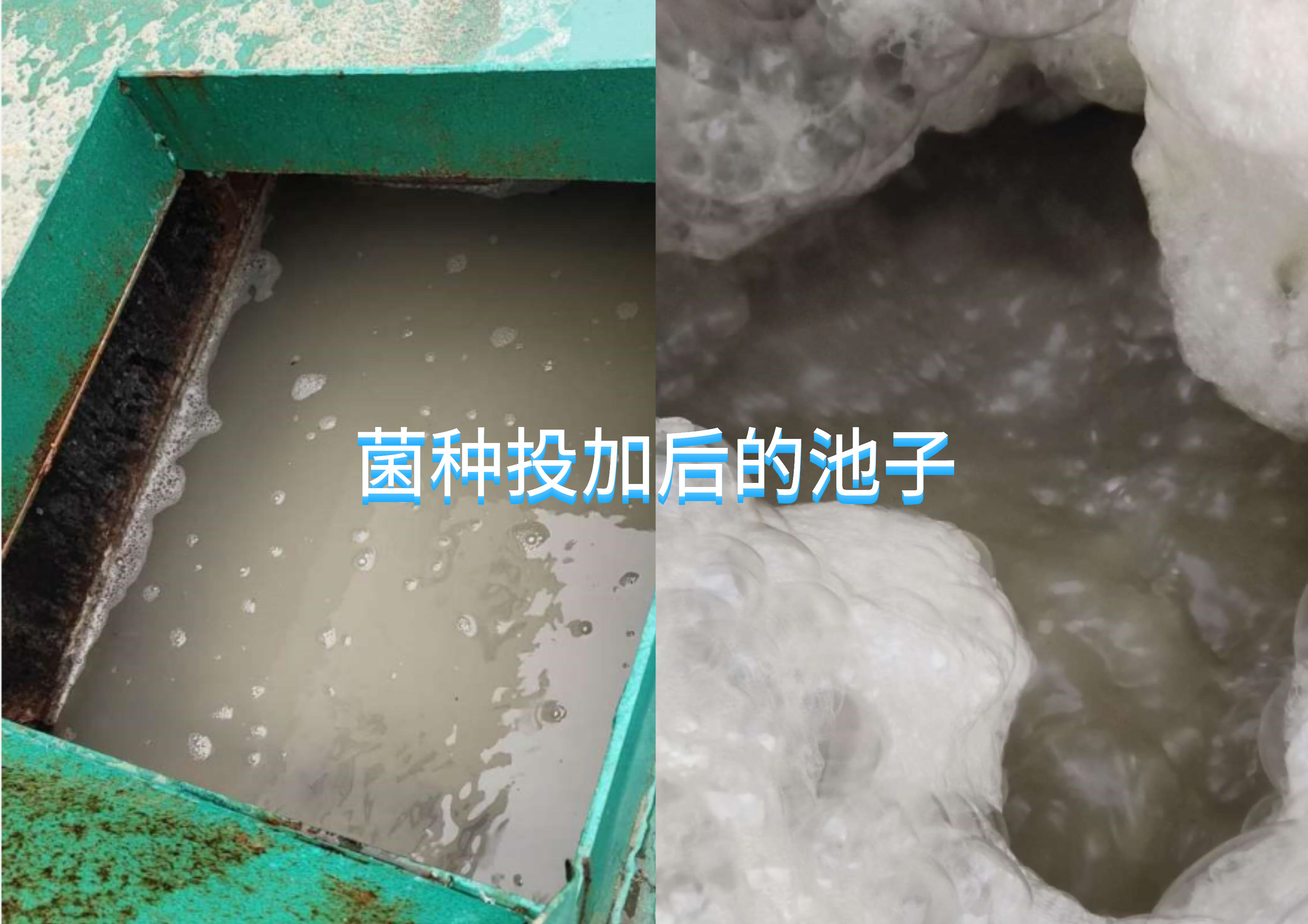分析生活污水一體化設備系統恢復案例