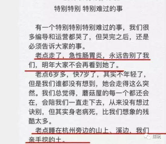 《向往的生活4》增加一只宠物！他们是怎样把狗鸭牛羊带出道的？