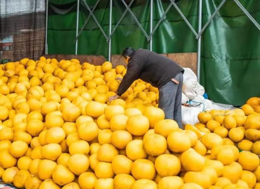 新年出游就是要你嗨！你的春游秘籍请查收