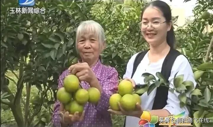 给力！博白这名“普通”妇女凭借实力登上电视