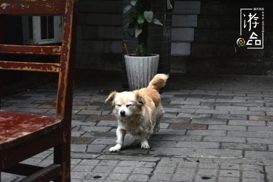 老重庆的回忆：连接和平路与中兴路，“成分复杂”的上回水沟