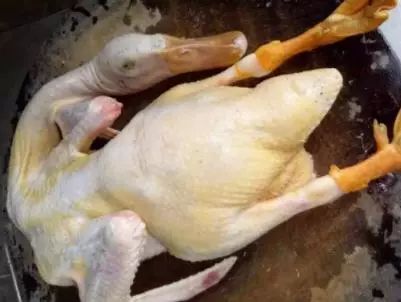 鸭毛怎么才能拔干净？学学老妈的3技巧，每次鸭毛拔得超干净