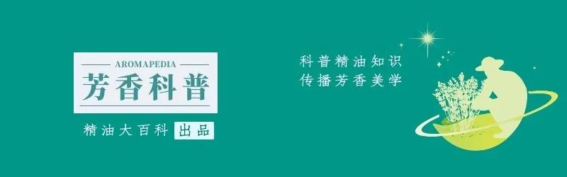 罗马洋甘菊精油的化学成分及功效研究 精油大百科 Mdeditor