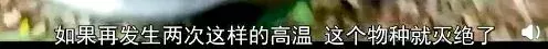 bbc纪录片揭秘气候变化真相:留给人类的时间不多了!| 花边阅读