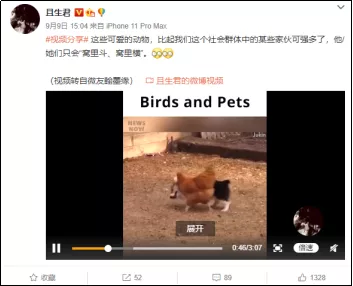 公知正统在日本,世界文明在巴黎(狗头)