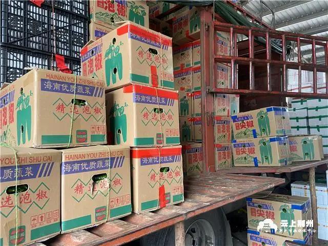 Reporter investigation uncovers secret! Can of price of chili of chaste tree city compares porky backside