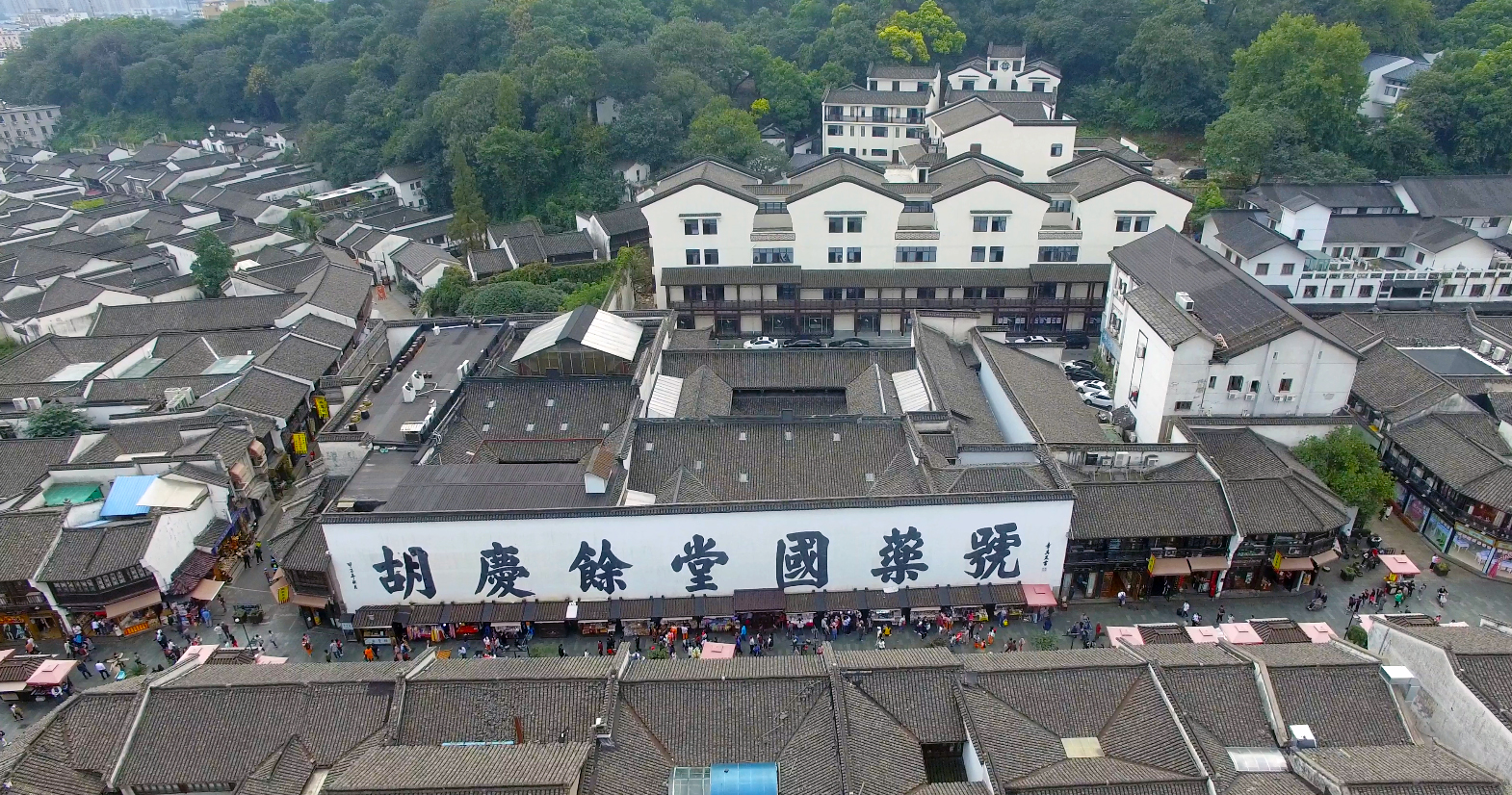 充分挖掘中国传统医药非遗的价值 | 以浙江地区中医药非遗发展现状为例