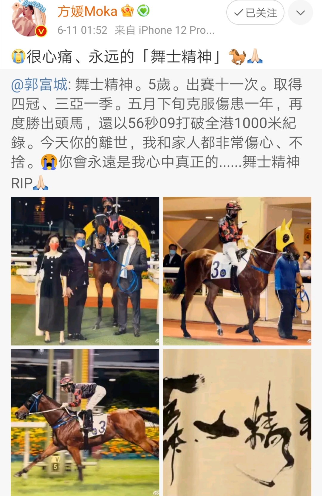 郭富城痛失5岁爱马！价值190万，凌晨1点与太太方媛发文悼念