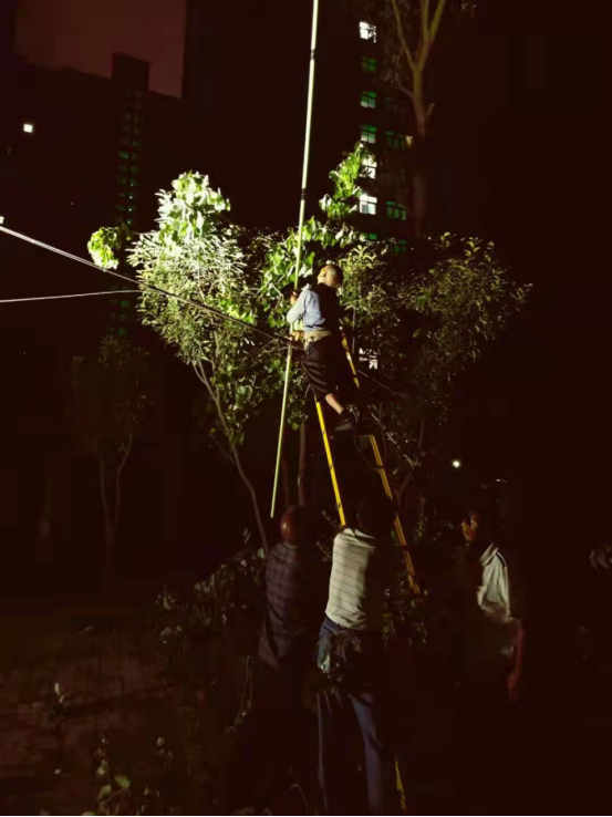 台风“烟花”来袭，漯河昼夜排查抢险保道路安全通畅