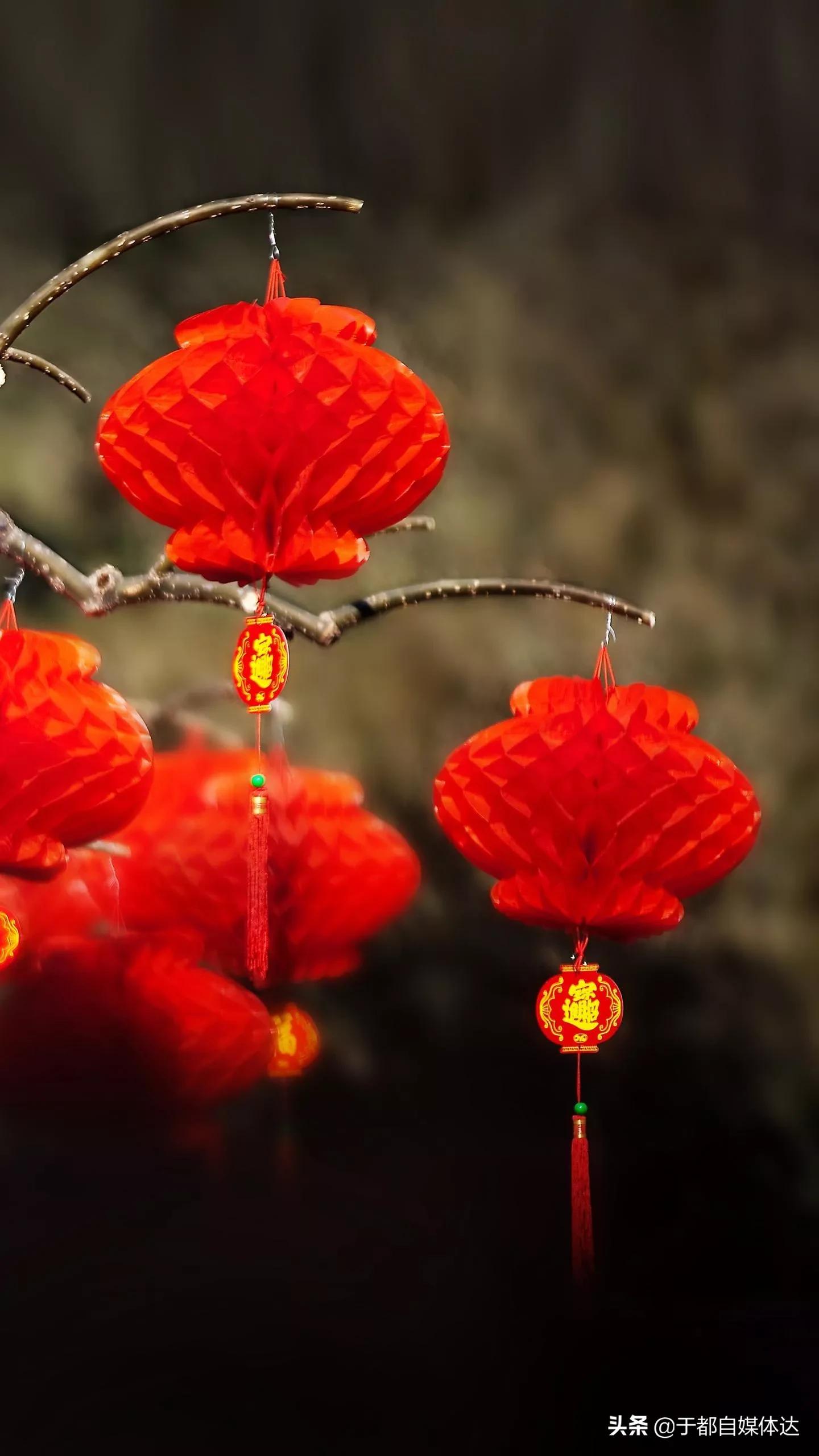 二月|一月再见二月你好 不为往事扰，余生只愿笑！