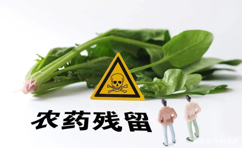 為啥現在物質條件好了，身體免疫力卻變差了？ 謹防病從口入