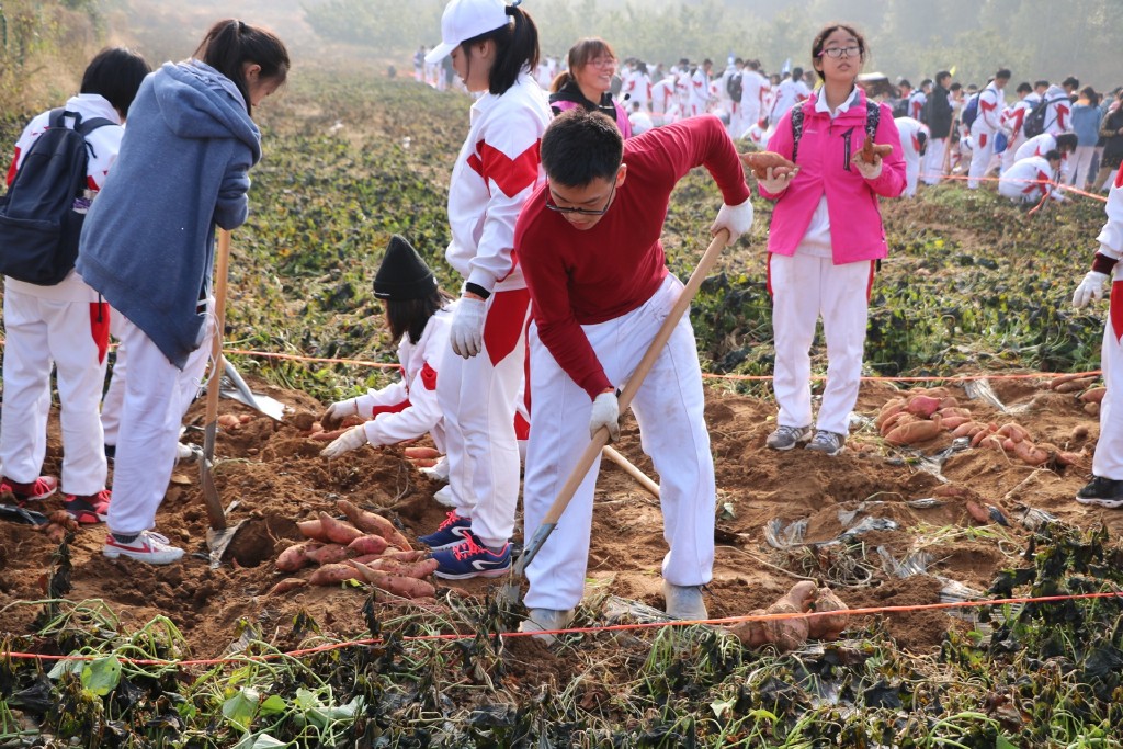 暑假来了，这里是放飞自我社会实践的好去处，玩乐中增长课外知识