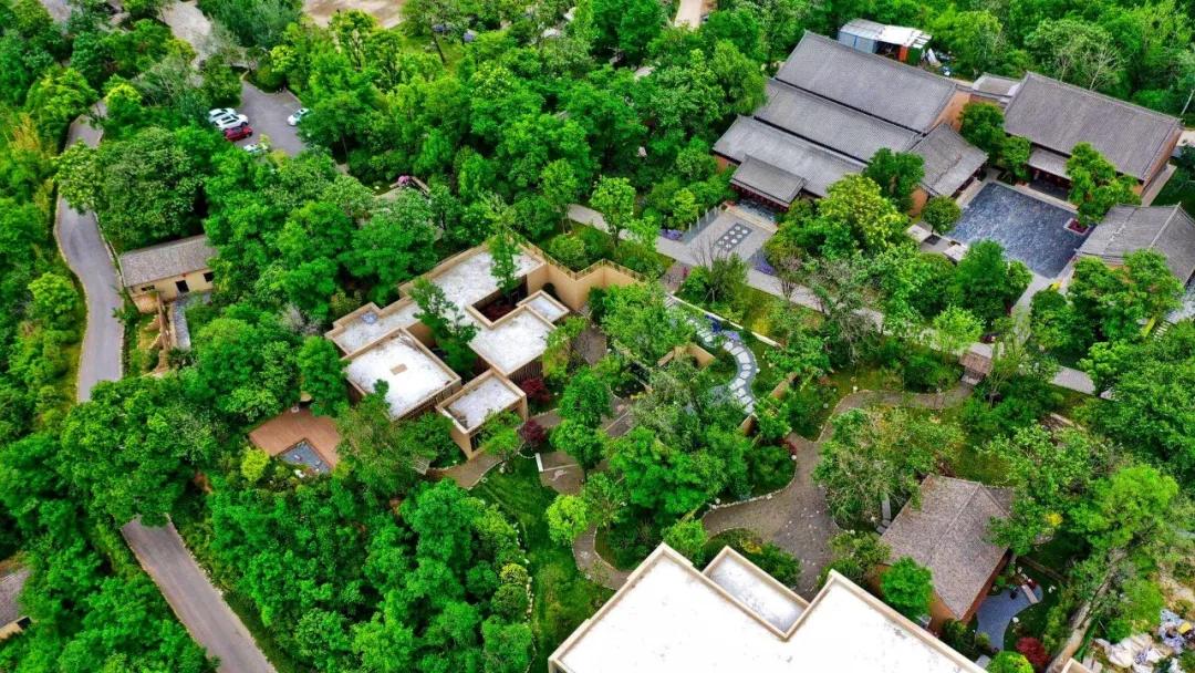 袁家村之后，陕西又出了一个全新标杆农文旅项目——唐村
