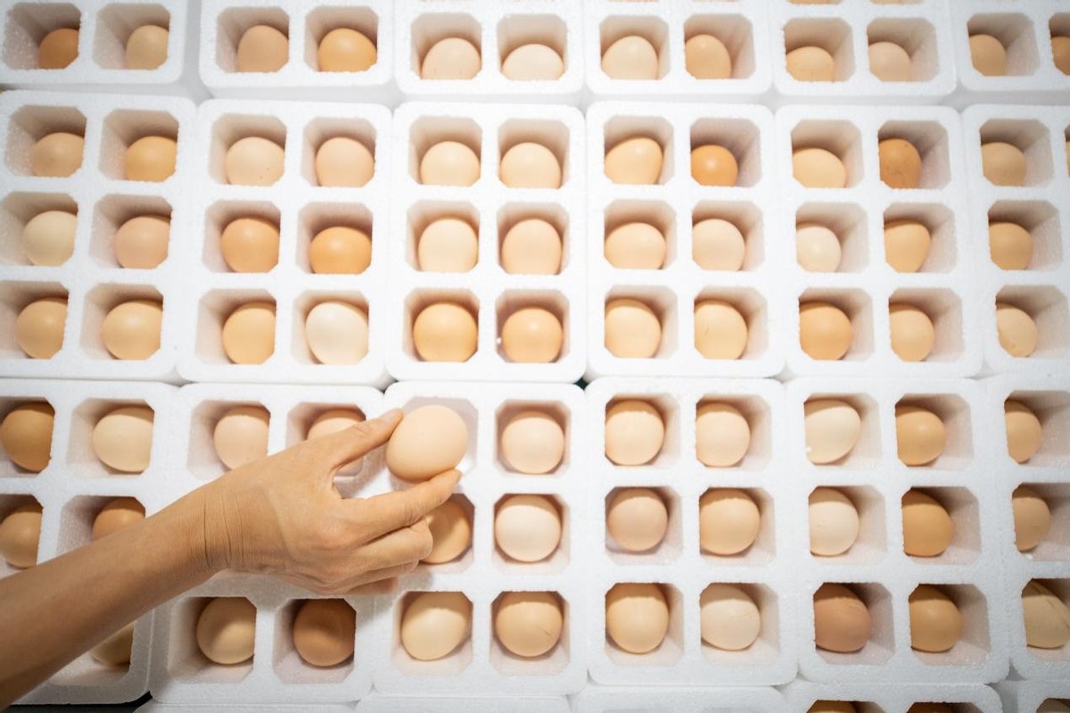 卖鸡蛋一年卖出2.5亿元，南阳“鸡蛋哥”入驻多多丰收馆