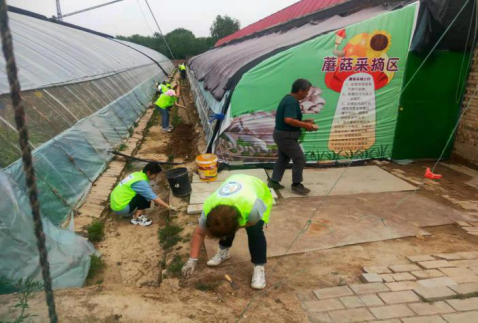 山西旅游职业管理学院由团委青志部组织参加雷锋爱心菜园志愿活动