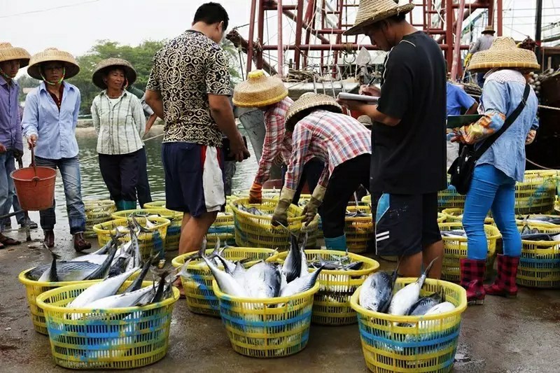另一个角度看海南！重磅经济政策下的海南，那