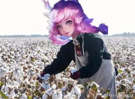 " Wang Zherong boasts " break down and Ba Baoli cooperate