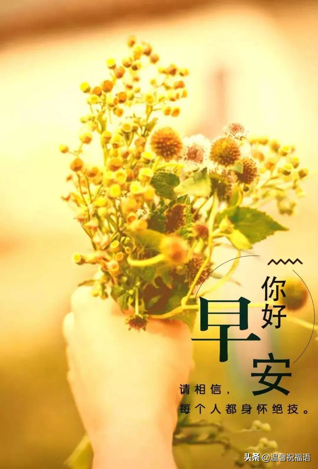早安2021最新图片发朋友圈 全新版早上好漂亮表情祝福图片图片