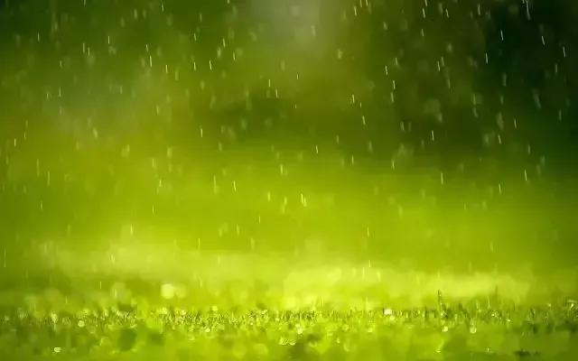 原创天街小雨润如酥草色遥看近却无