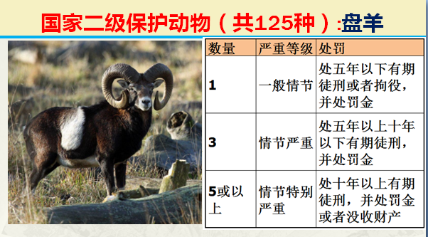 国家最新125类二级野生保护名录，图片及违法对应刑责