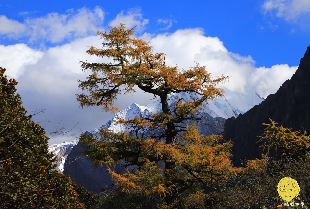 The golden autumn is here again, if you want to go to Aden, Daocheng, you should set off