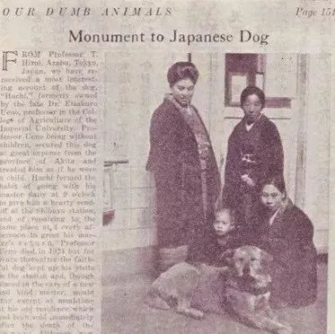 日本81岁奶奶和柴犬同患老年痴呆，分开2年后感人一幕发生了