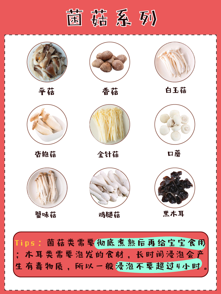 儿童最全火锅食材清单 属于儿童的火锅趴来了 美锅优食 Mdeditor