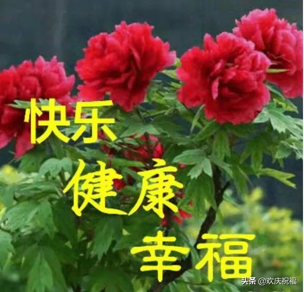 早上好图片大全 最新图片图片