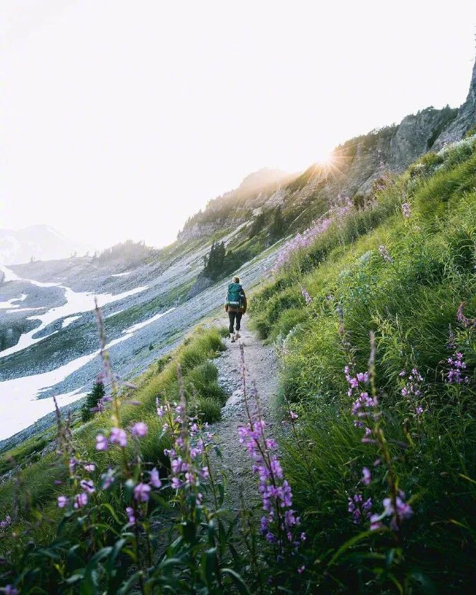 晚安|温暖治愈晚安心语句子，简短精湛适合睡前发朋友圈