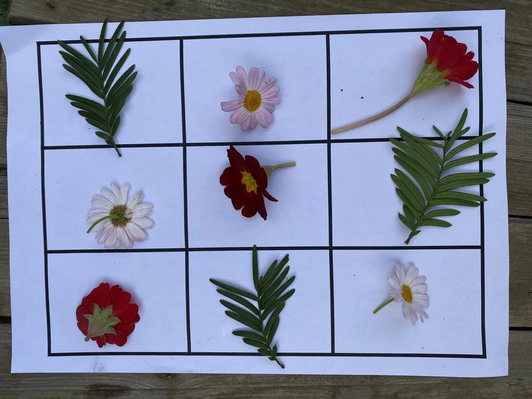 巧用天然材料，感受自然之美丨天府新区华阳幼儿园开展户外活动