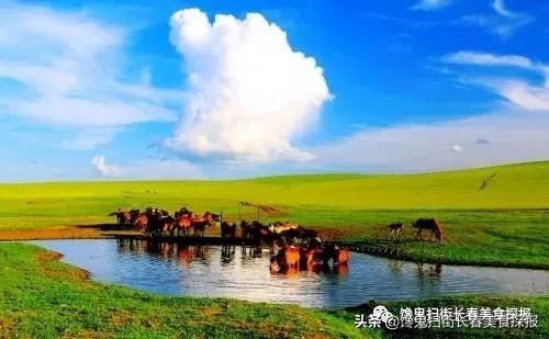 Take iron porcelain surely in Changchun rub eating house