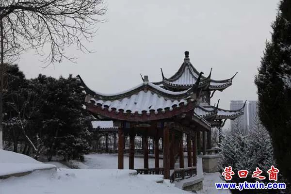 Spanish mackerel encircles Qing Longshan to go up yesterday such