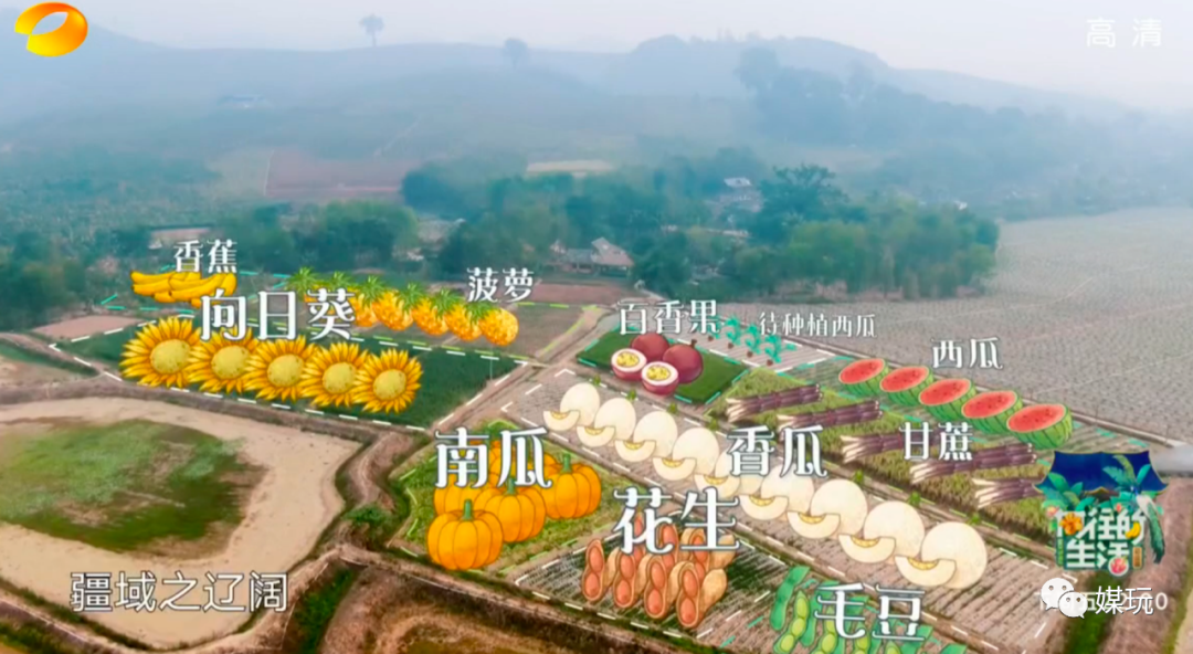 《向往的生活4》首播，今年的蘑菇屋“户型”太牛，摄像机零穿帮
